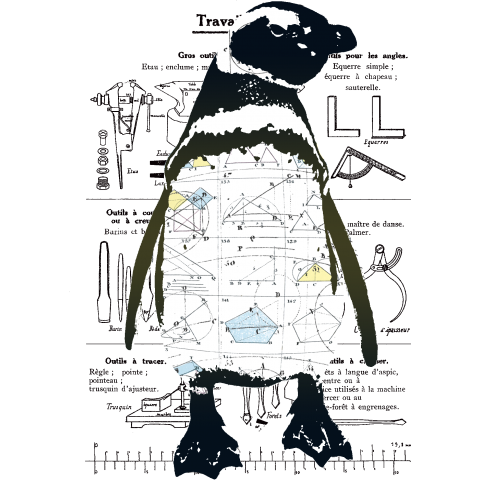 Penguin