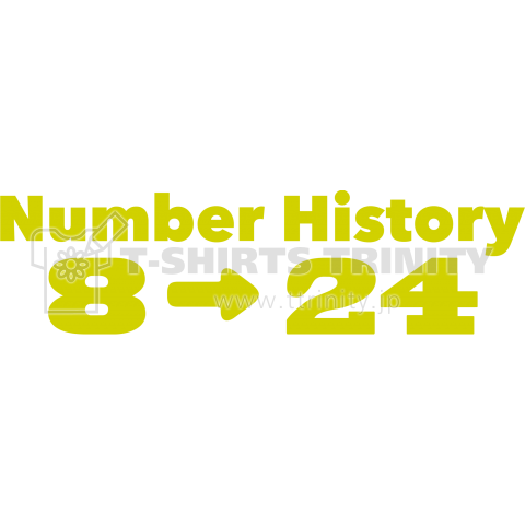 Number History 8→24