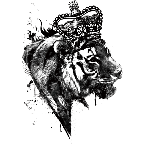 King Of Tiger