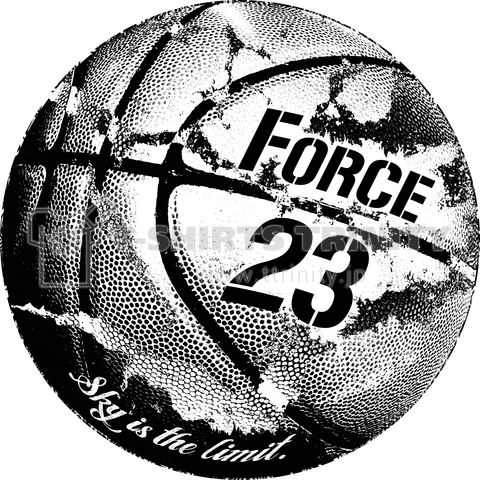 FORCE23