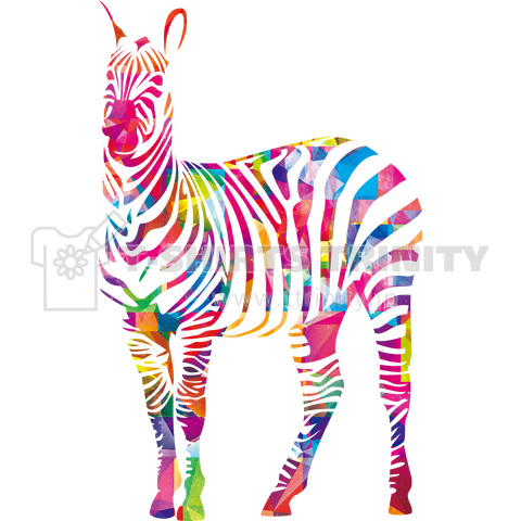 Colorful Zebra