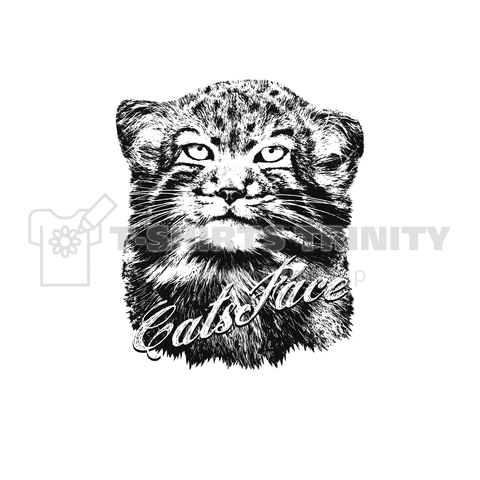 PALLAS'S CATS [WHITE]