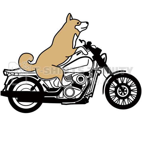 AkashiBike [WHITE]