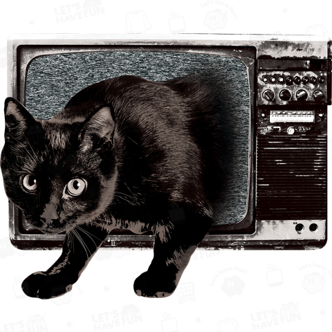 黒猫テレビ