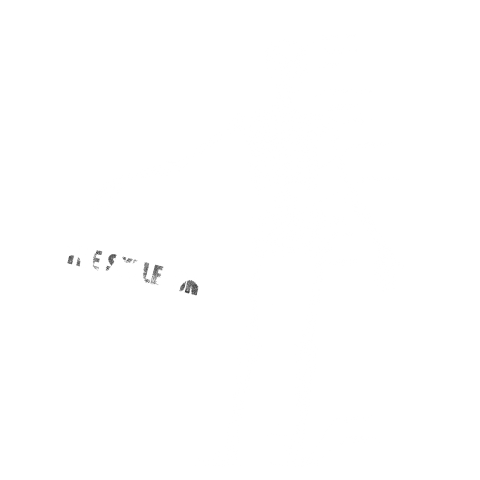 The skeleton BK.Ver