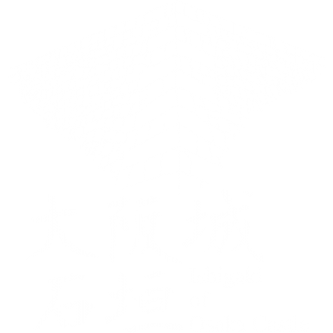 大阪城の石垣/濃色