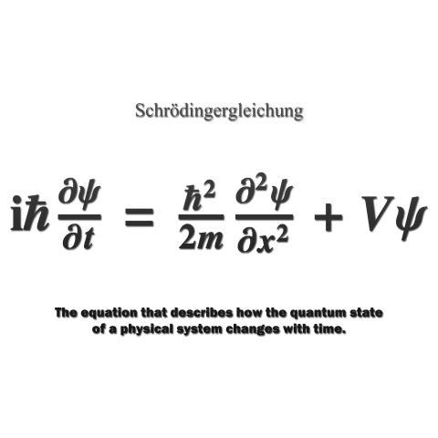 数式tシャツ シュレーディンガー方程式 量子力学 猫 デザインtシャツ通販 Tシャツトリニティ