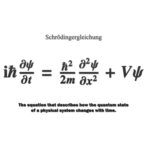 数式Tシャツ:シュレーディンガー方程式:量子力学:猫