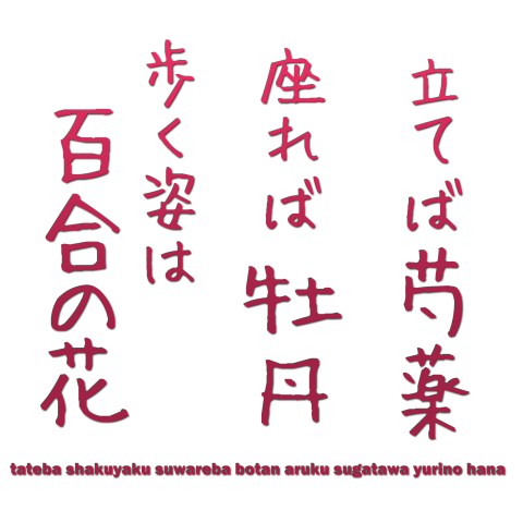 格言ことわざTシャツ:「立てば芍薬 座れば牡丹 歩く姿は百合の花」:面白文字デザイン・漢字おもしろ系