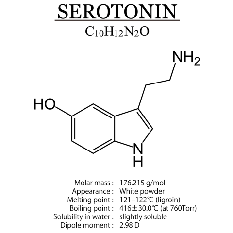 化学Tシャツ:セロトニン(精神安定・感情コントロール):化学構造シリーズ:分子式デザイン