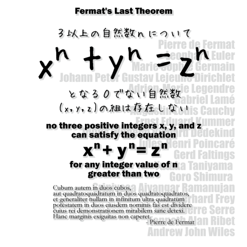 数学tシャツ フェルマーの最終定理 オイラー アンドリュー ワイルズ 学問 数字 数式 両面 デザインtシャツ通販 Tシャツトリニティ