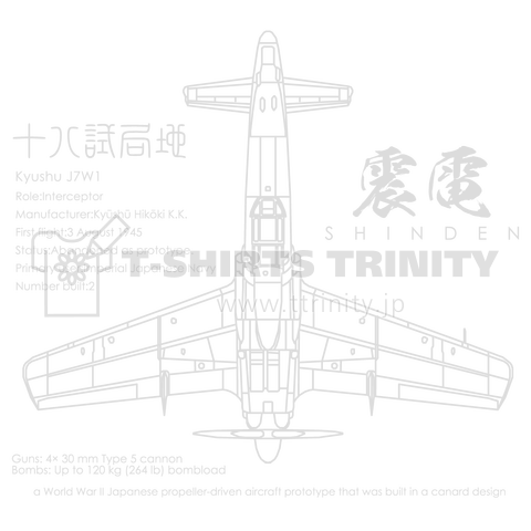 震電(しんでん):戦闘機:日本軍:陸軍:WW2:第二次世界大戦:太平洋戦争:ゼロ戦