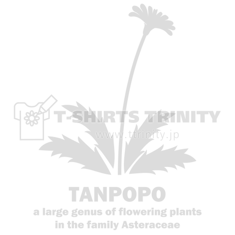 【タンポポ好きに捧ぐ】花:タンポポ(たんぽぽ・TANPOPO):おもしろ・ジョーク・ネタ