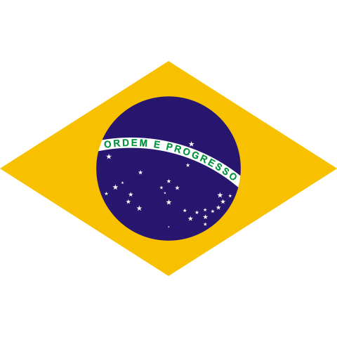 ブラジルの国旗 デザインtシャツ通販 Tシャツトリニティ