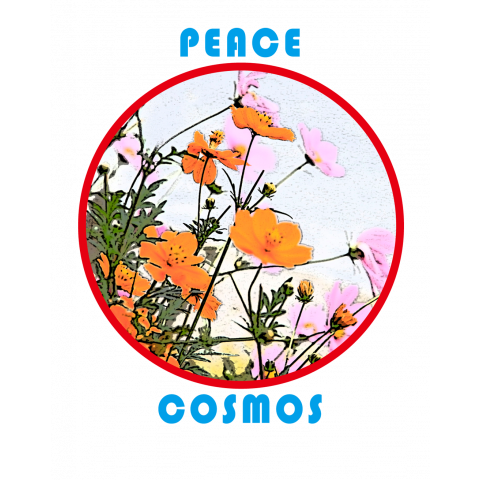 peace cosmos_F