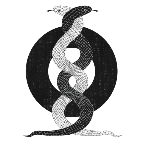 絡蛇 モノクロ デザインtシャツ通販 Tシャツトリニティ