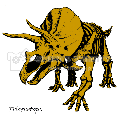 恐竜骨格トリケラ