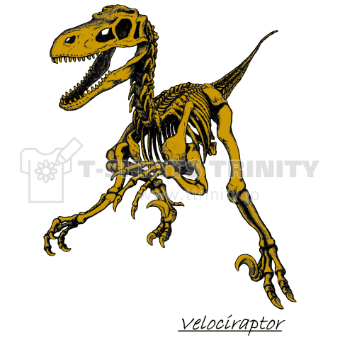 恐竜骨格ベロキラプトル デザインtシャツ通販 Tシャツトリニティ