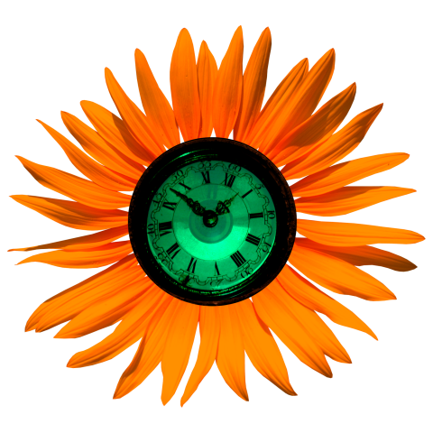 clockwork flower
