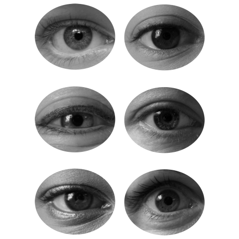 eyes