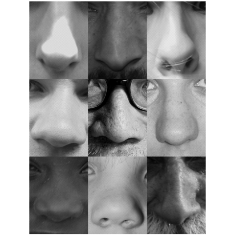 noses