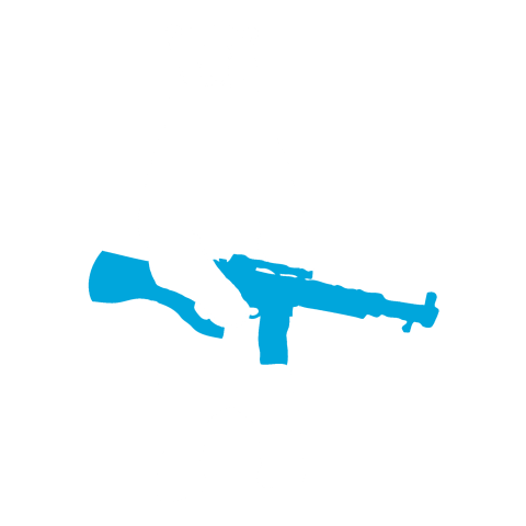 Polar bear