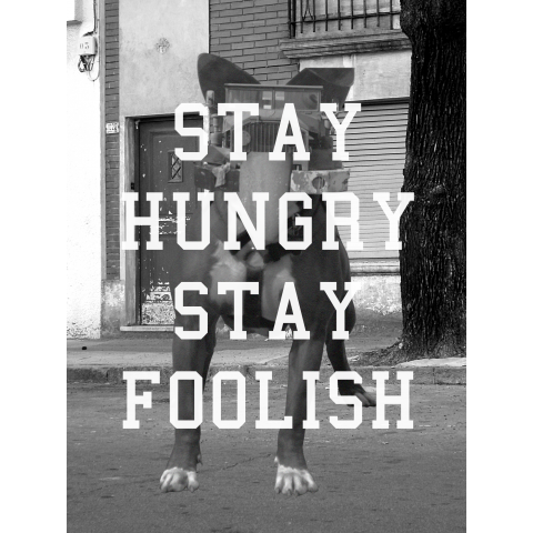 Stay hungry, stay foolish