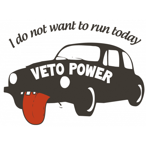 VETO POWER