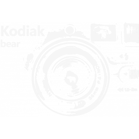 Kodiak bear