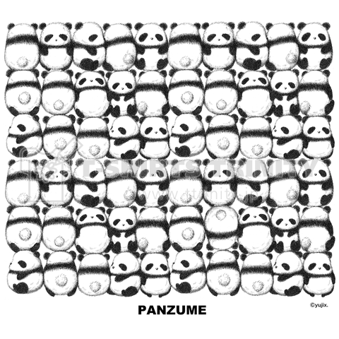 PANZUME-MORE