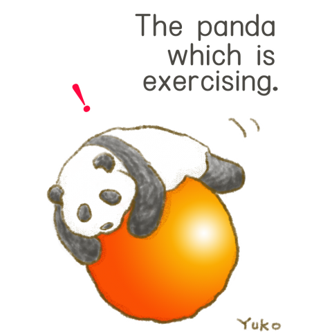 エクササイズパンダ-The panda which is exercising.-