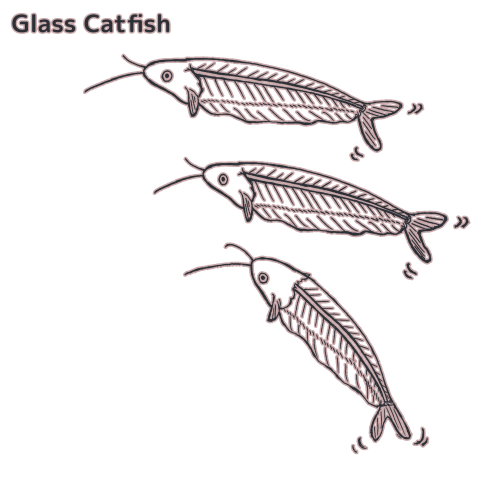 あっち向いてヒラヒラ グラスキャットフィッシュ Glass Catfish デザインtシャツ通販 Tシャツトリニティ