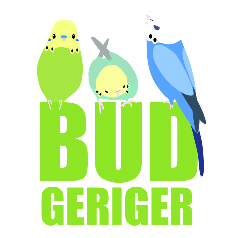 BUDGERIGER!