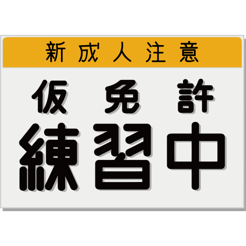 新成人「仮免許練習中」