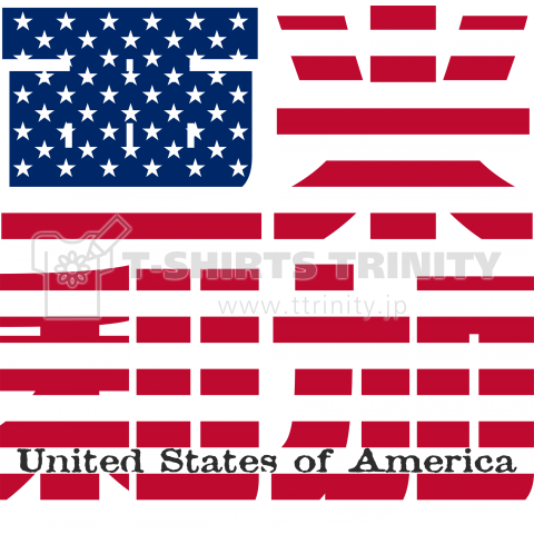 漢字国旗Tシャツ「亜米利加」アメリカ