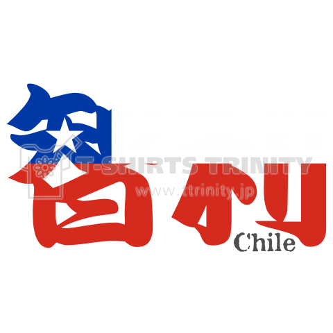 漢字国旗シリーズ 智利 チリ デザインtシャツ通販 Tシャツトリニティ