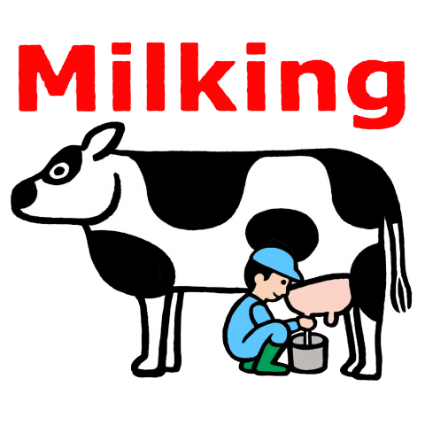 Milking