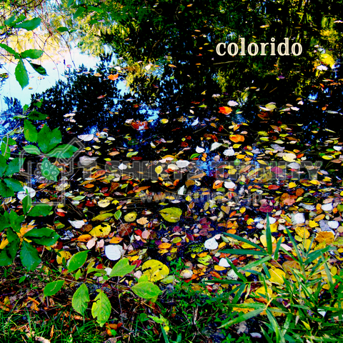 colorful(スペイン語)