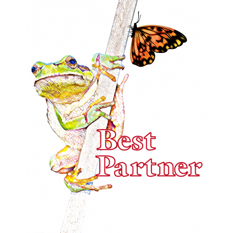 Best Partner01