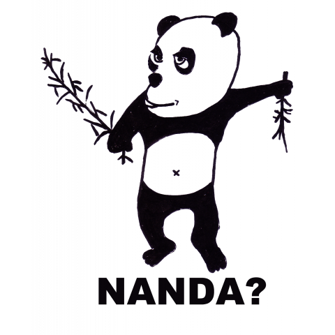 NANDA?