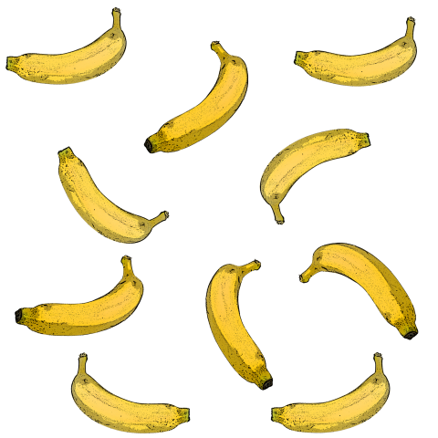 バナナ柄