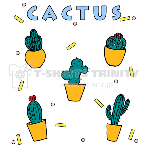 Cactus  サボテン