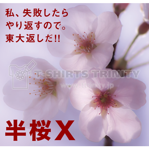 半桜X