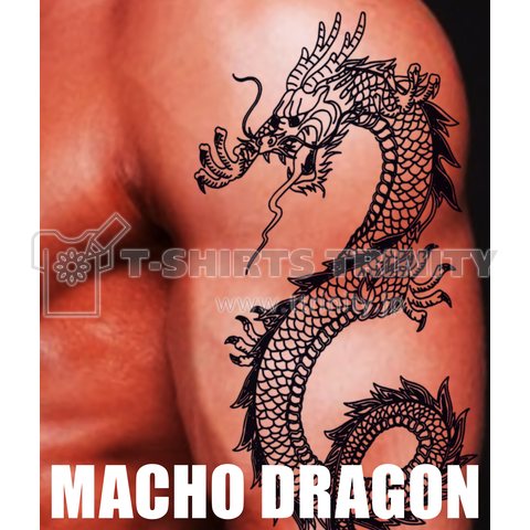 MACHO DRAGON