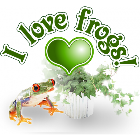 I love frogs!/カエル写真付き2 修正版