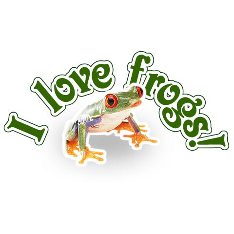 Love Frogs カエル写真付き3 デザインtシャツ通販 Tシャツトリニティ