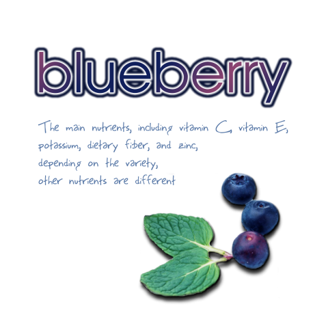 ブルーベリー(blueberry)/果物、果実、写真、栄養素