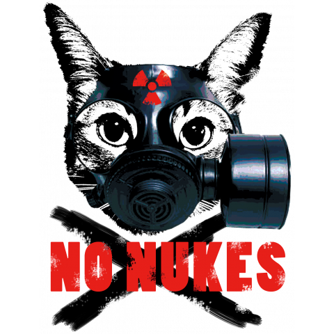 NO NUKES CAT