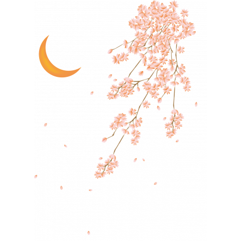 月夜の桜(両面)