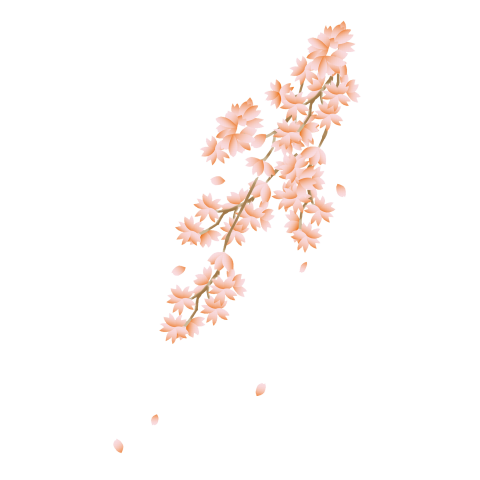 月夜の桜(両面)